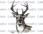 1037 - Deer Head