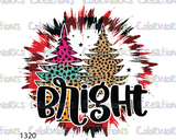 1320 - Bright