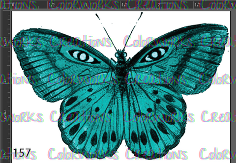 157 - Butterfly
