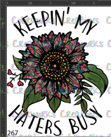 267 - Keepin My Haters Busy