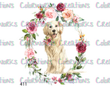 411 - Dog