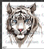 427 - Tiger