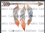 6 - Arrow with Feathers
