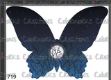 719 - Butterfly