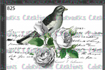 825 - Bird with Flowers and Text